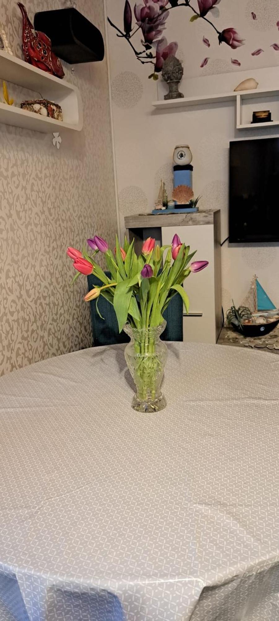 Fewo Seerose Zempin Dış mekan fotoğraf